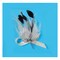 Angel Wing Feather Brooch with Rhinestone